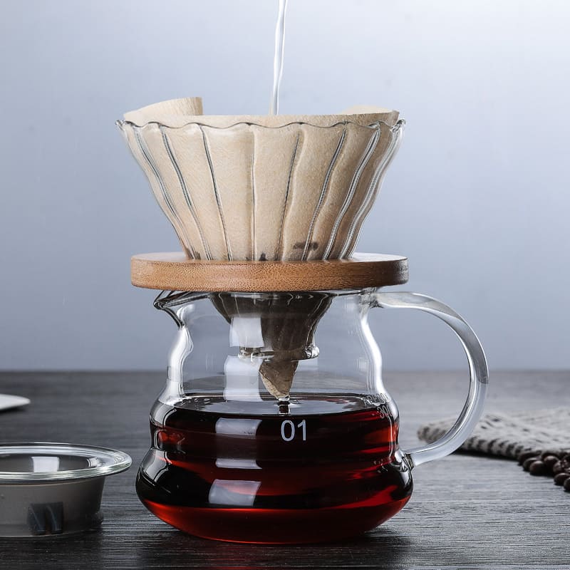 Borosilicate Glass Coffee Mug with Hario V60 Type Coffee Dripper