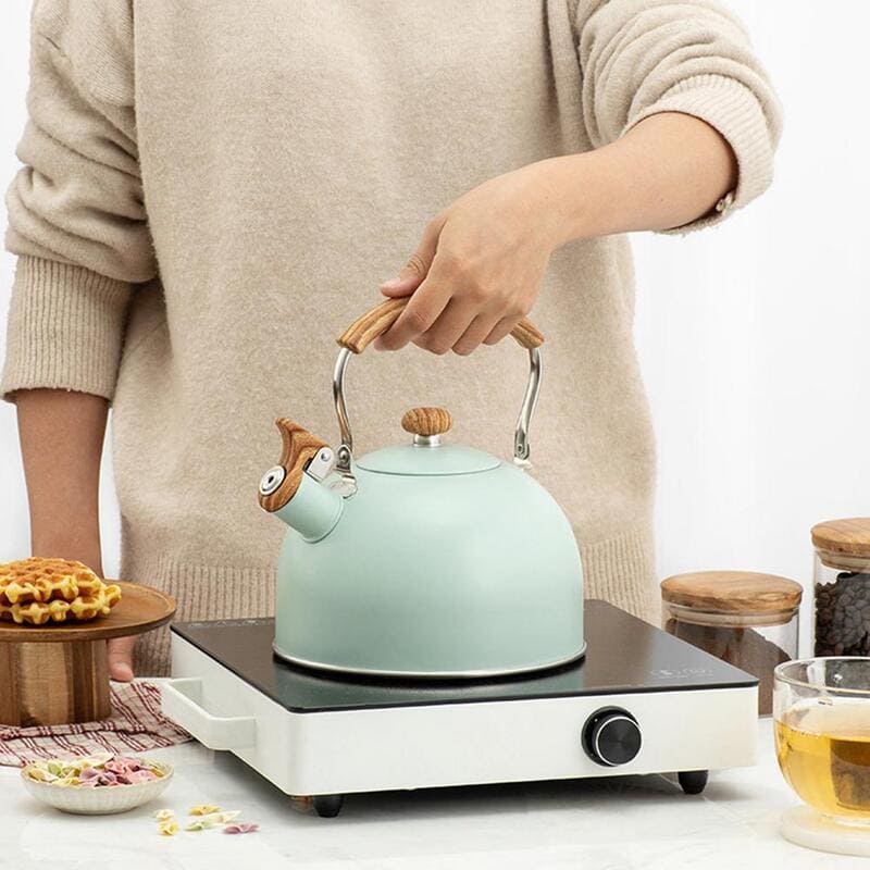 Stainless Steel Whistling Kettle 2.5 Liters