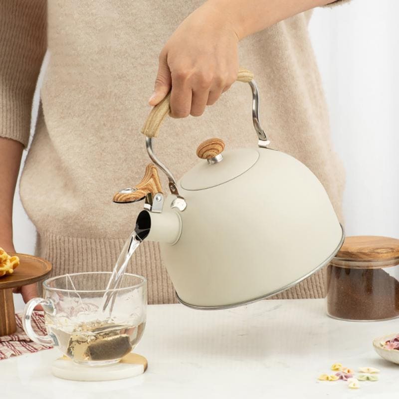 Stainless Steel Whistling Kettle 2.5 Liters