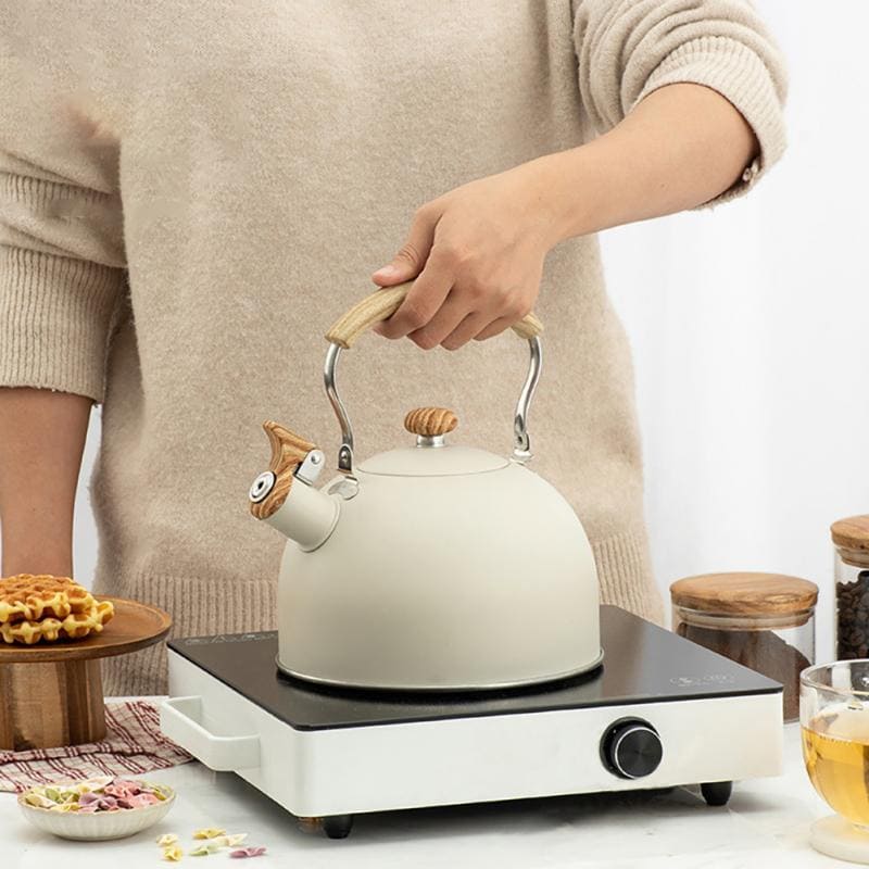 Stainless Steel Whistling Kettle 2.5 Liters