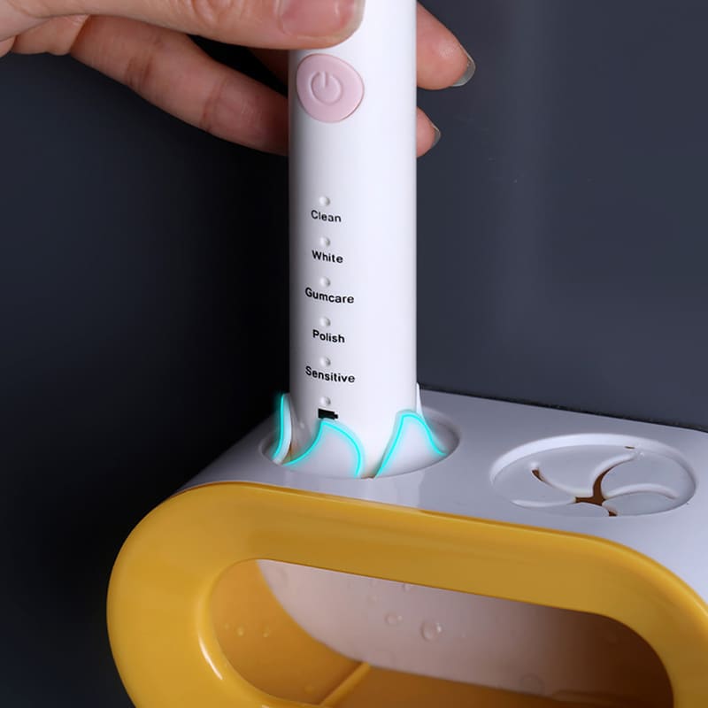 Wall Mount Toothbrush and Toothpaste Holder Organizer