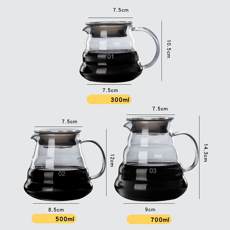 Borosilicate Glass Coffee Mug with Hario V60 Type Coffee Dripper