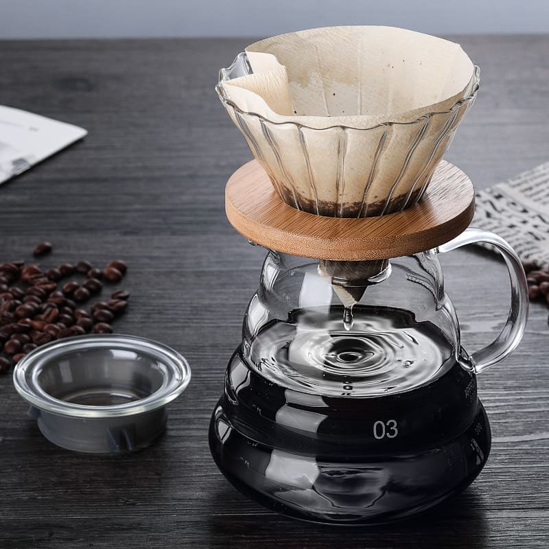 Borosilicate Glass Coffee Mug with Hario V60 Type Coffee Dripper