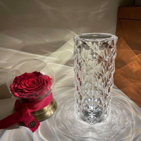 Wireless LED Table Lamp with 3-16 Colors Premium Rose™