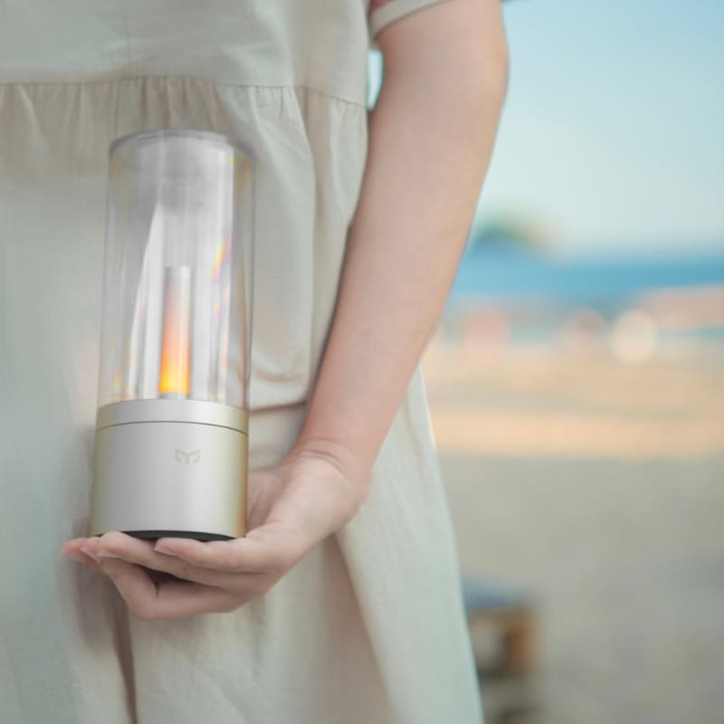 Portable Decorative LED Table Lamp