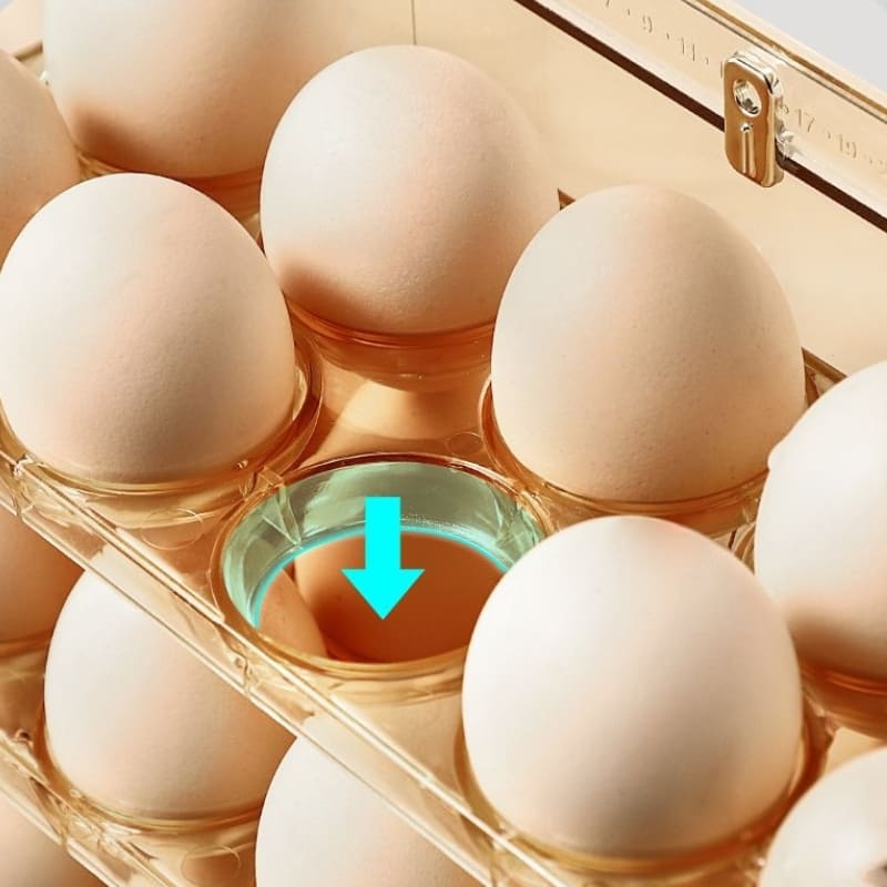 34-Slot Egg Holder Refrigerator Organizer