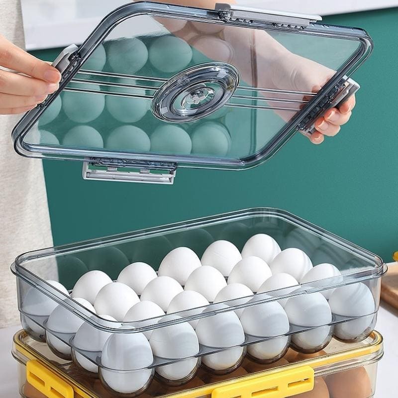 Refrigerator Organizer with Lid and Date Marker