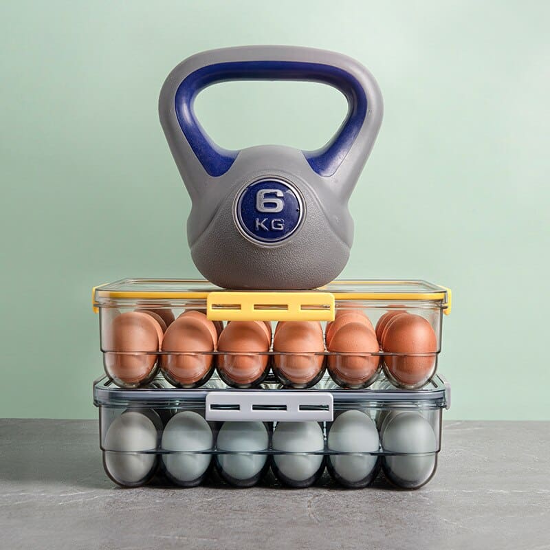 Refrigerator Organizer with Lid and Date Marker