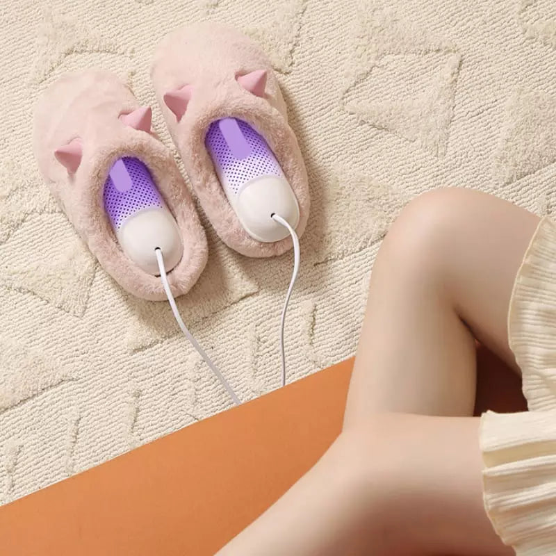 Electric Shoe Dryer and Dehumidifier