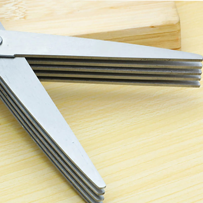 Stainless Steel 5-Blade Kitchen Tearing Scissors for Spices
