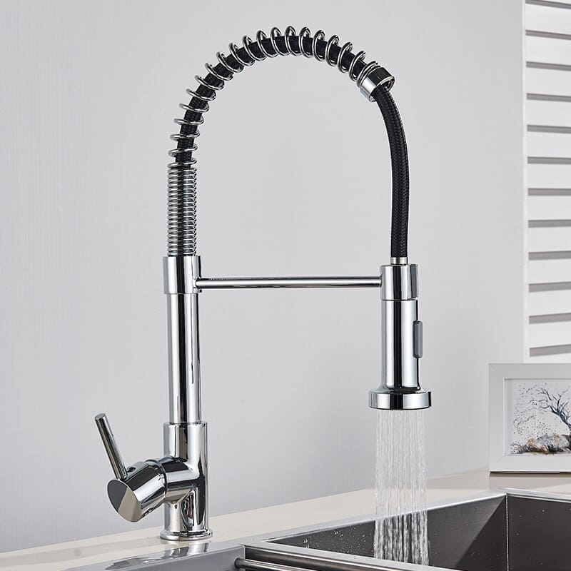 Polished Kitchen Gourmet Single-Handle Faucet with Flexible