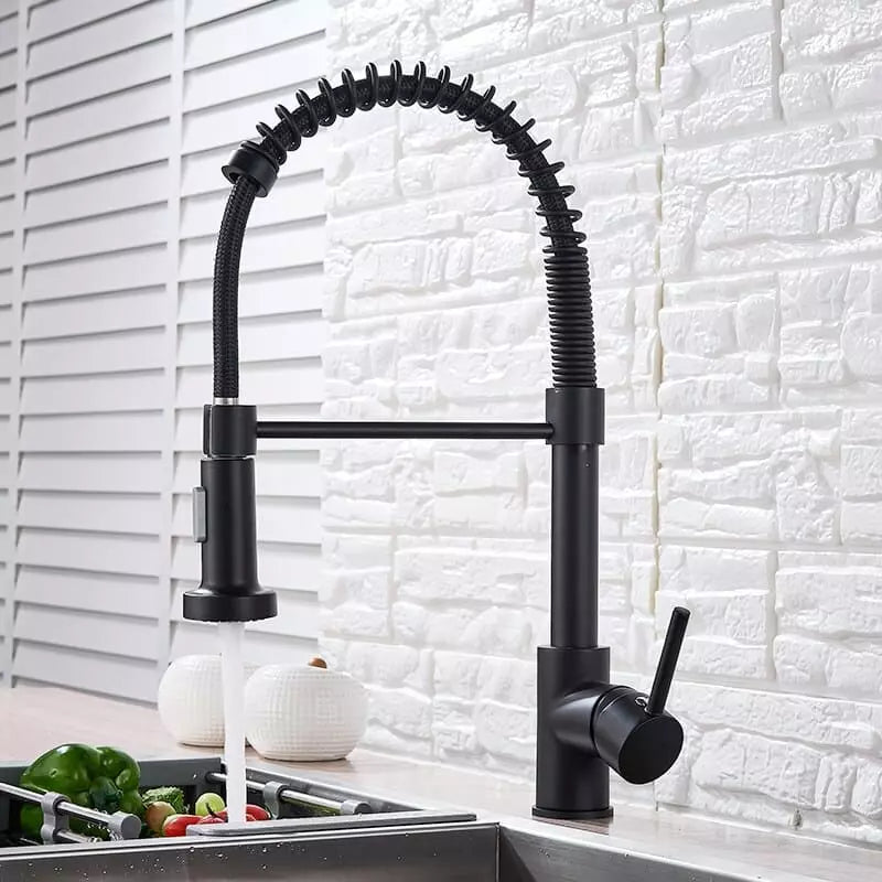 Polished Kitchen Gourmet Single-Handle Faucet with Flexible