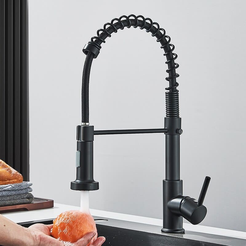 Polished Kitchen Gourmet Single-Handle Faucet with Flexible