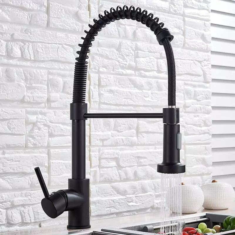 Polished Kitchen Gourmet Single-Handle Faucet with Flexible