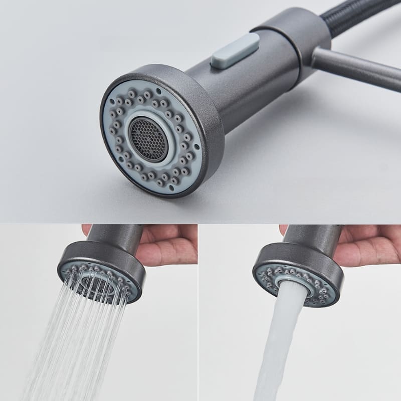 Polished Kitchen Gourmet Single-Handle Faucet with Flexible
