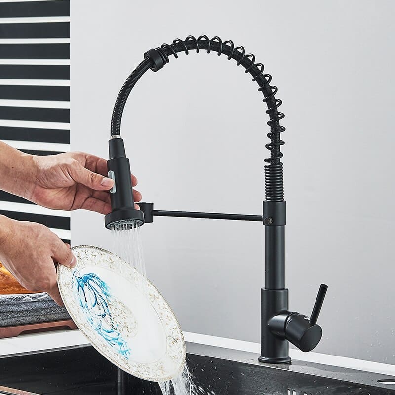 Polished Kitchen Gourmet Single-Handle Faucet with Flexible
