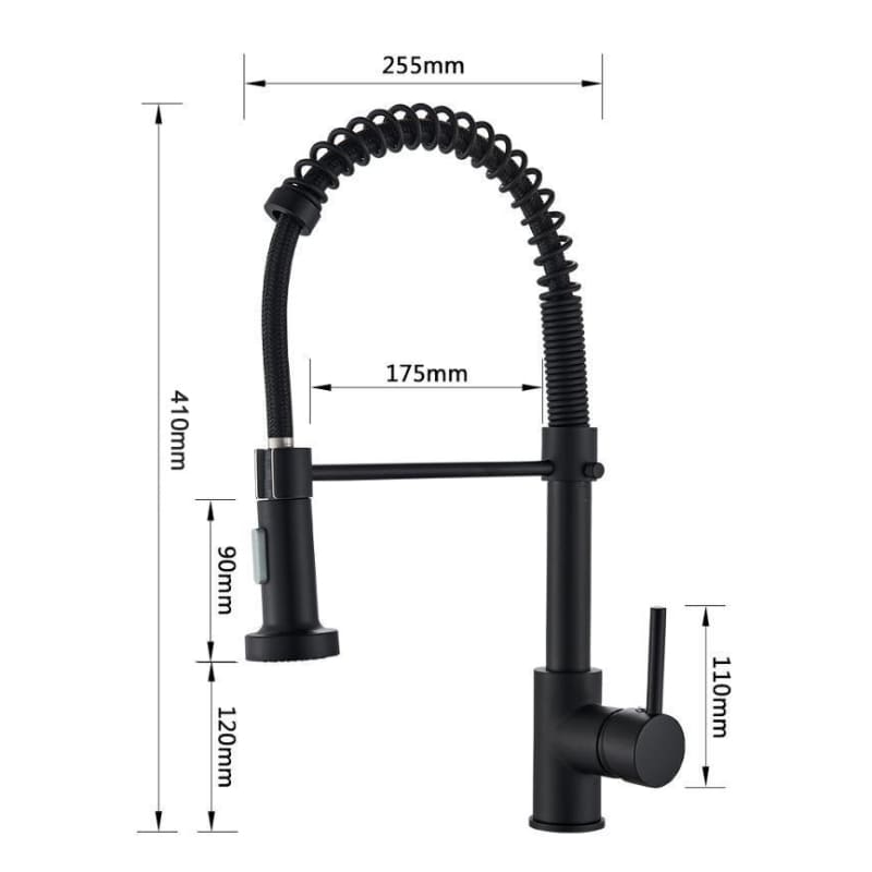 Polished Kitchen Gourmet Single-Handle Faucet with Flexible
