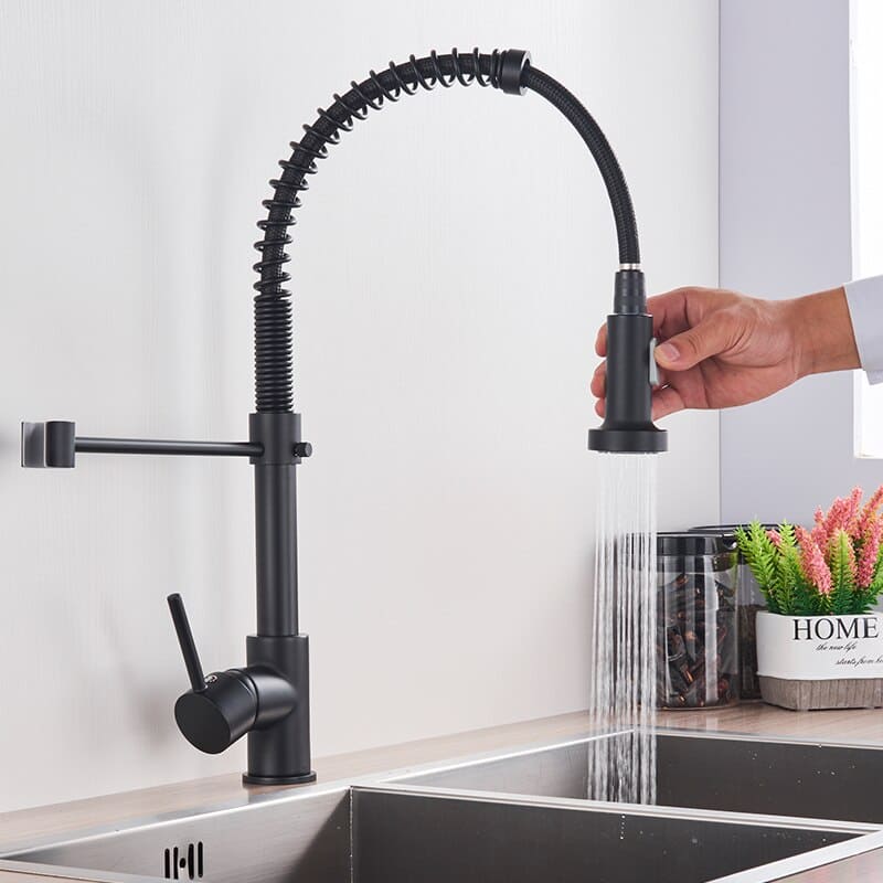 Polished Kitchen Gourmet Single-Handle Faucet with Flexible