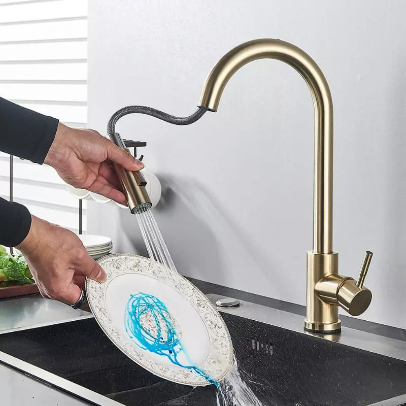 Gourmet Faucet for Kitchen and Bathroom with Sensor