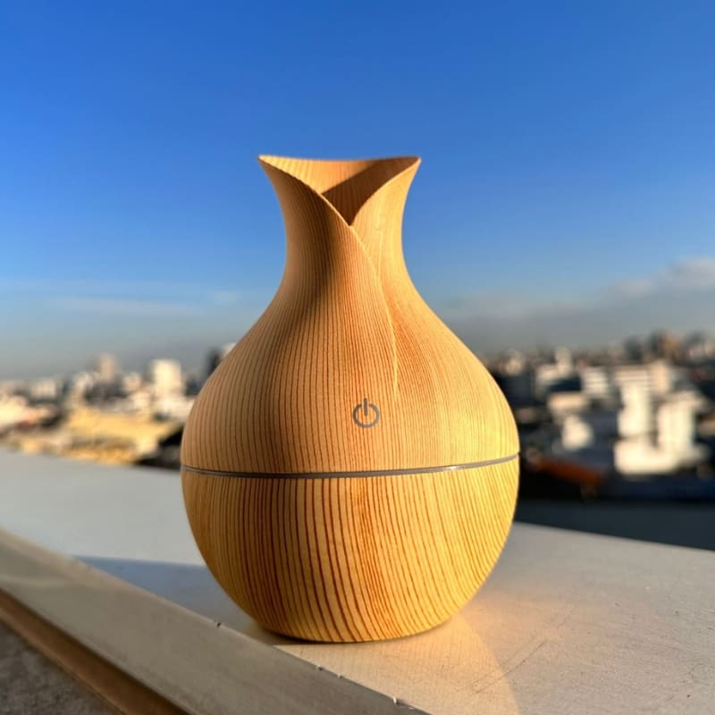 Air Humidifier and Diffuser and Aromatherapy Diffuser