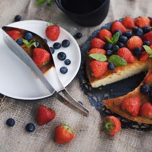 Premium European Design Stainless Steel Cake and Pie Slicer